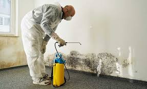 Waukegan, IL Mold Inspection Company